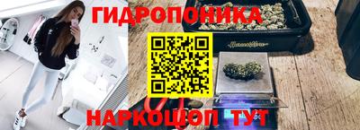 стаф Шахты