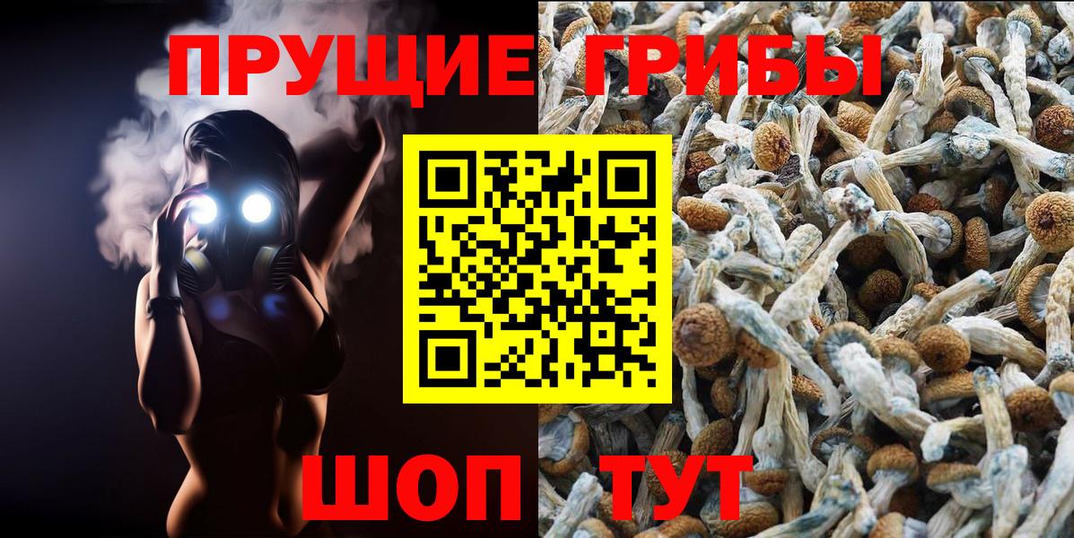 Галлюциногенные грибы мицелий Кыштым